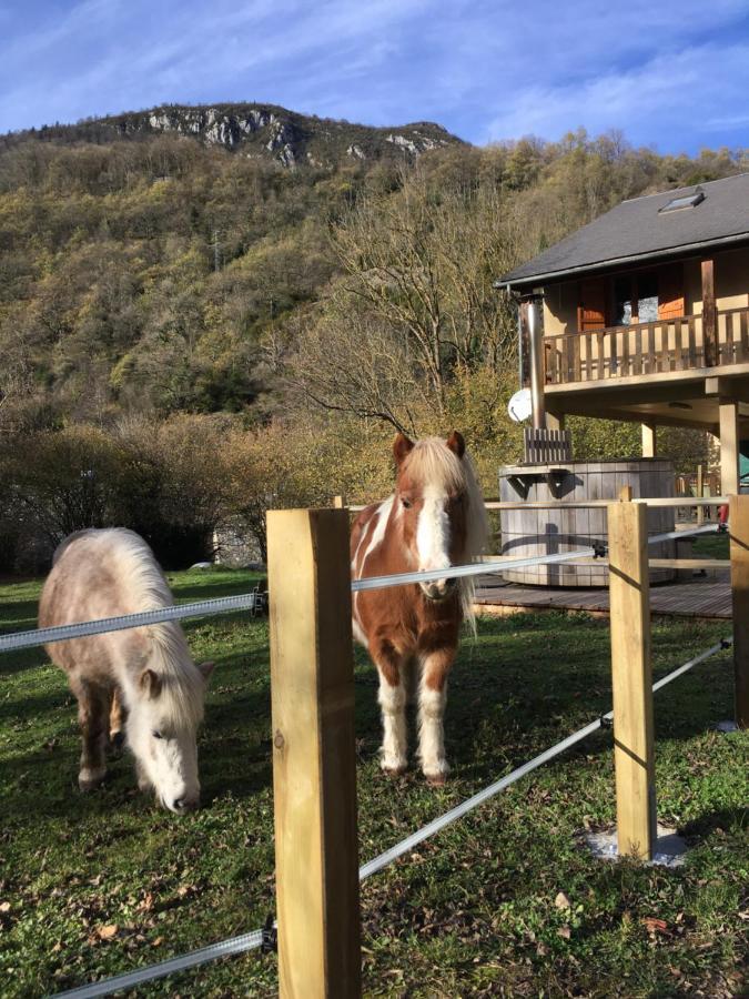 Villa Les Marmottes Pour 12 Avec Bain Nordique Privatif Camous Esterno foto